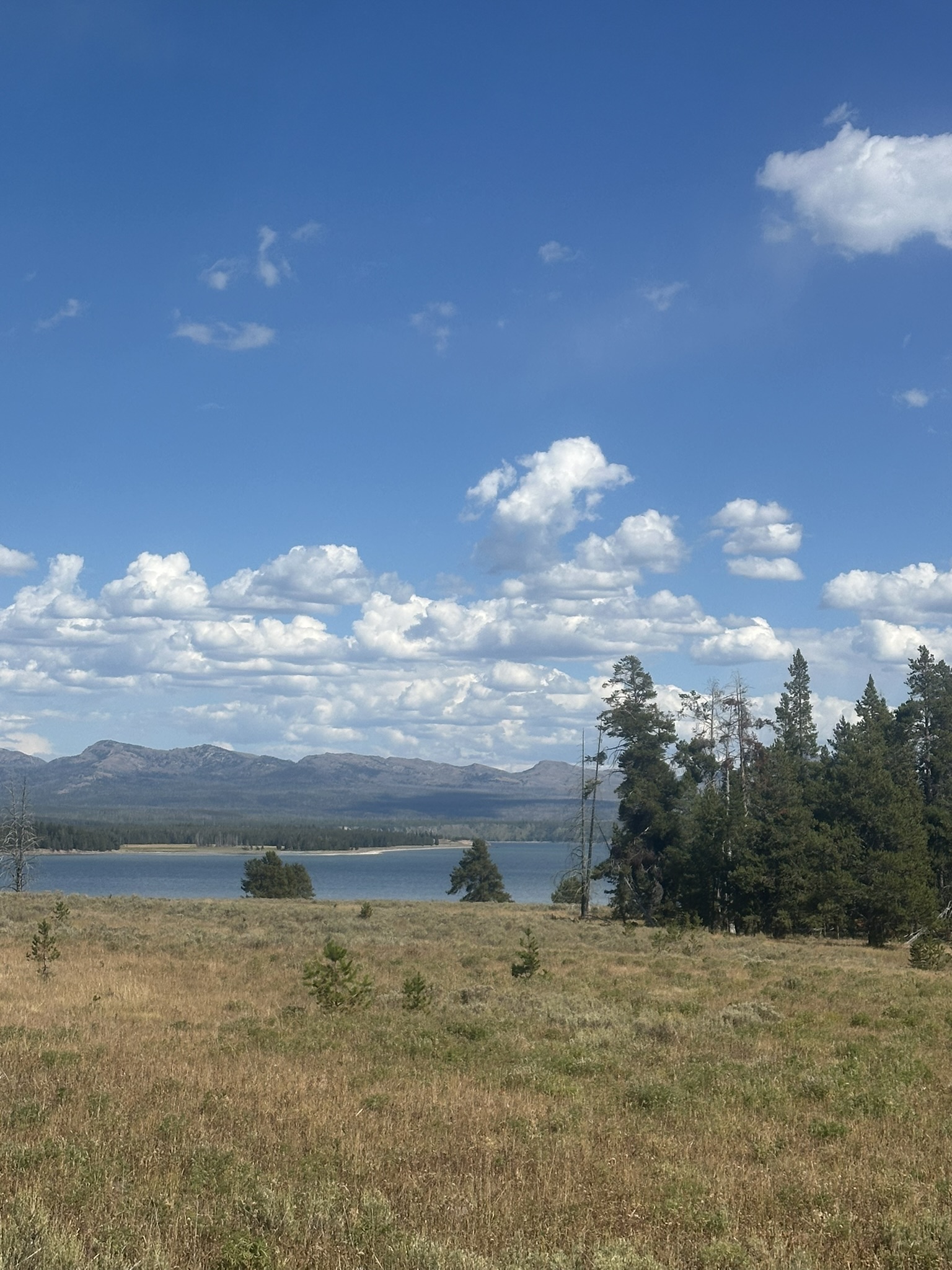 Yellowstone And Grand Teton National Parks - Image 1443